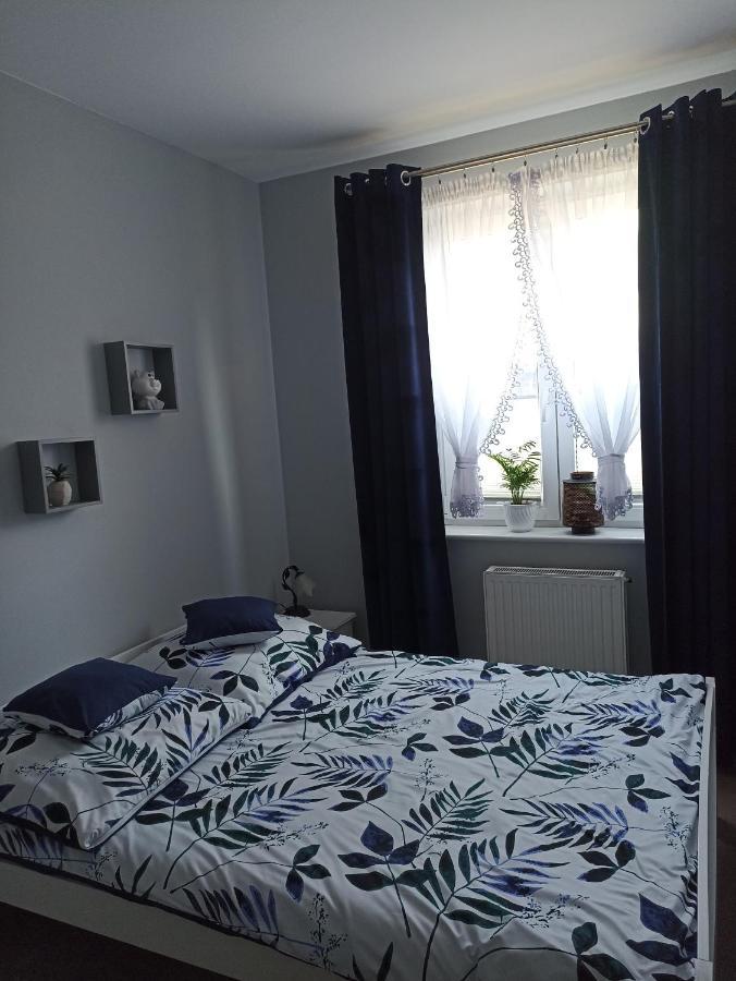 Apartmán Apartament Szarlotka Jelení Hora Exteriér fotografie
