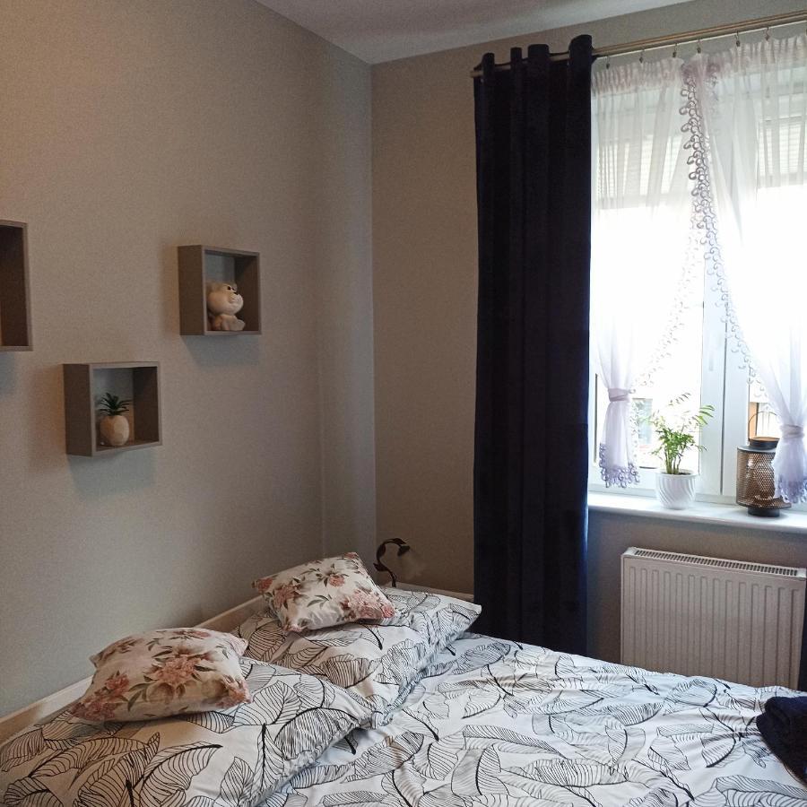 Apartmán Apartament Szarlotka Jelení Hora Exteriér fotografie